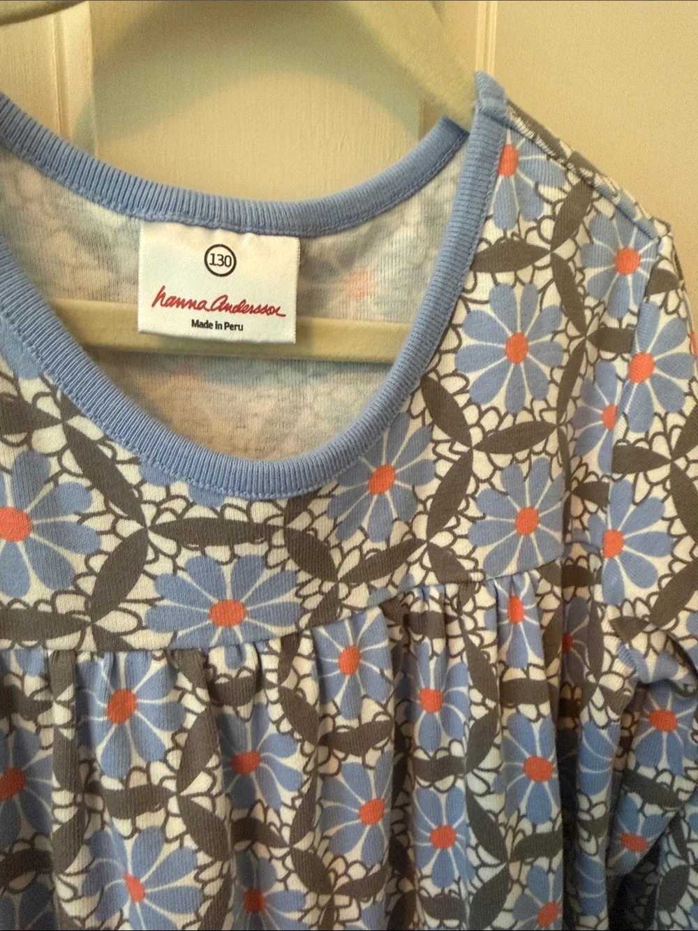 Hanna Andersson Blue Floral-Patterned Long Sleeve Dress
